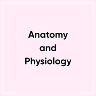 Anatomy & Physiology Training Course