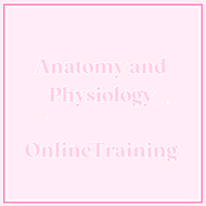 Online Anatomy & Physiology CPD Training Course